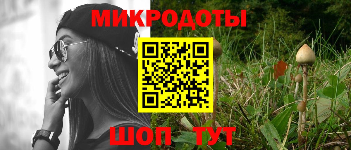 Галлюциногенные грибы MAGIC MUSHROOMS  Псилоцибиновые грибы Psilocybe  Вход с VPN  Новошахтинск 