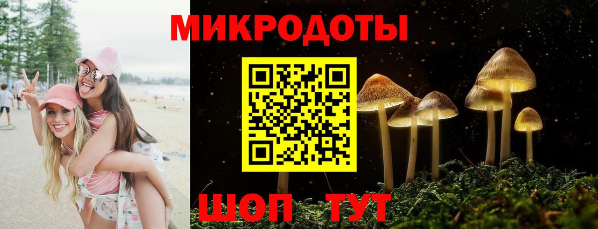 Галлюциногенные грибы мицелий Новошахтинск